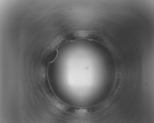 X0000077370374200610271926