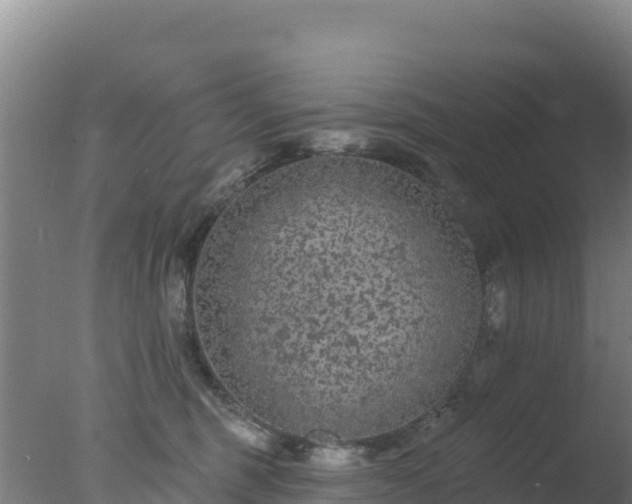 X0000077370375200610271926