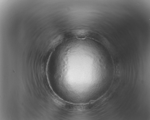 X0000077370377200610271926