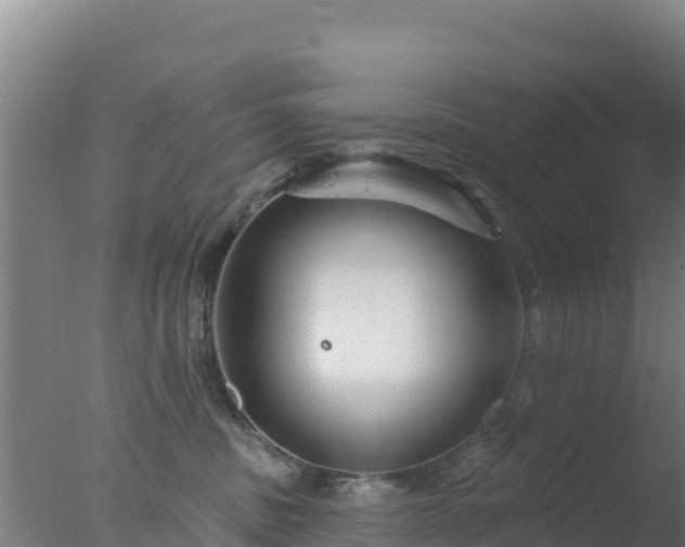 X0000077370379200610271926