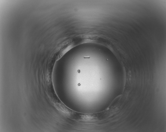 X0000077370380200610271926