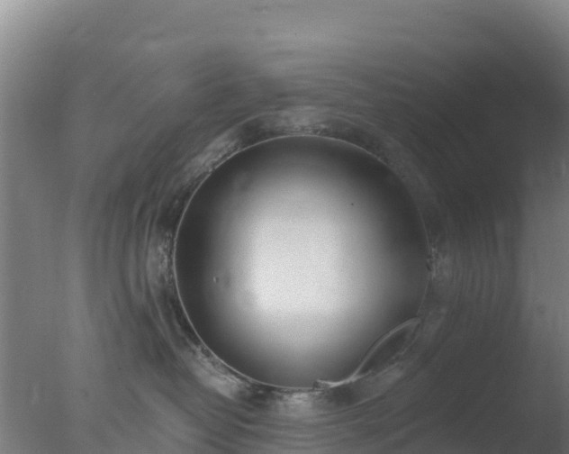 X0000077370382200610271926