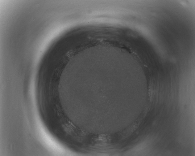 X0000077370383200610271926