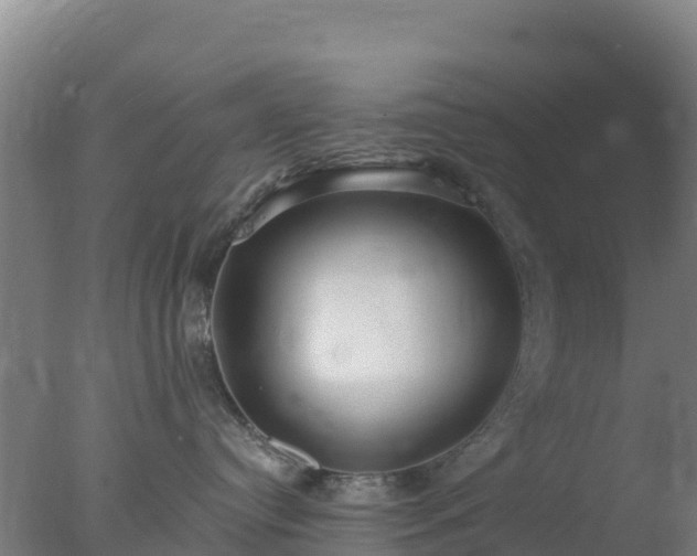 X0000077370384200610271926