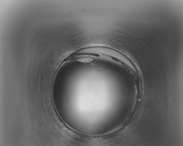 X0000077370385200610271926