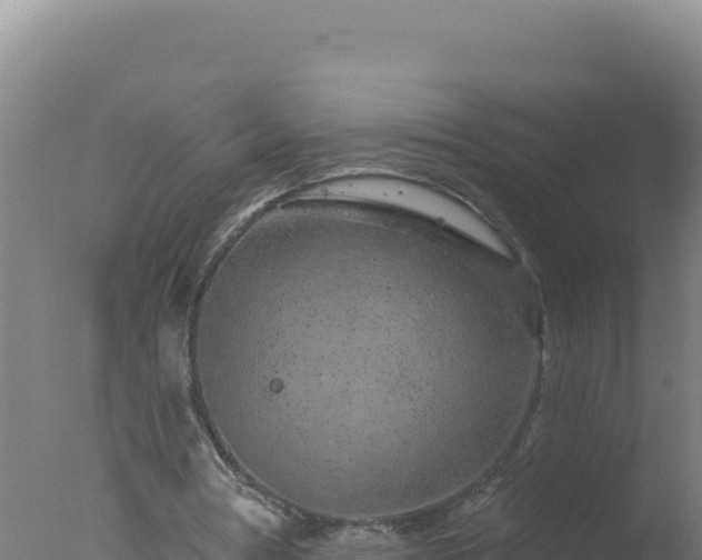 X0000077370386200610271926