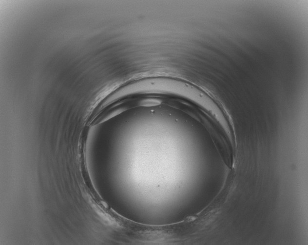 X0000077370389200610271925