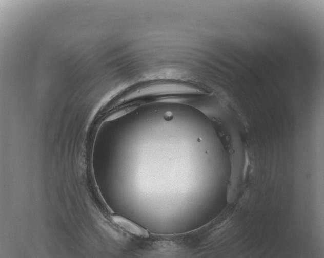 X0000077370392200610271925