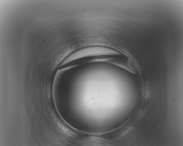 X0000077370393200610271925