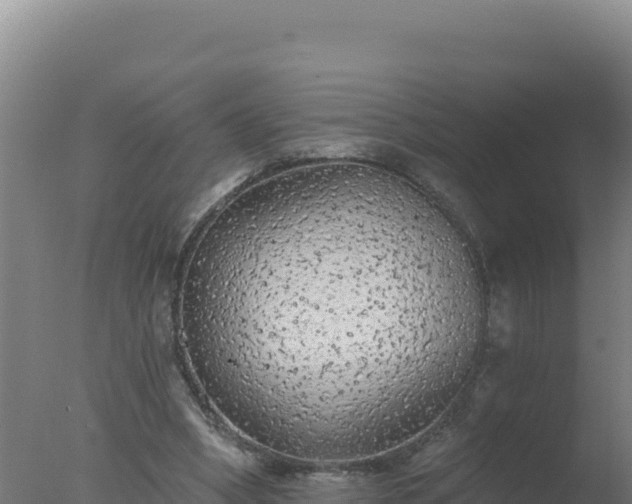 X0000077370394200610271925