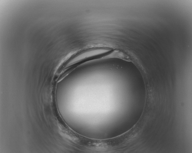 X0000077370395200610271925