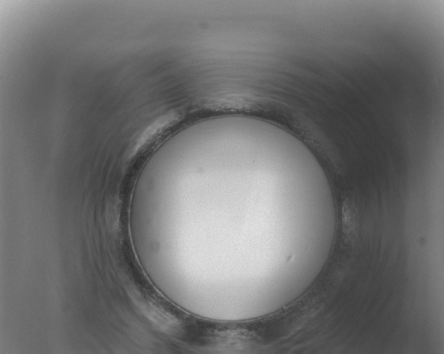 X0000077370396200610271925