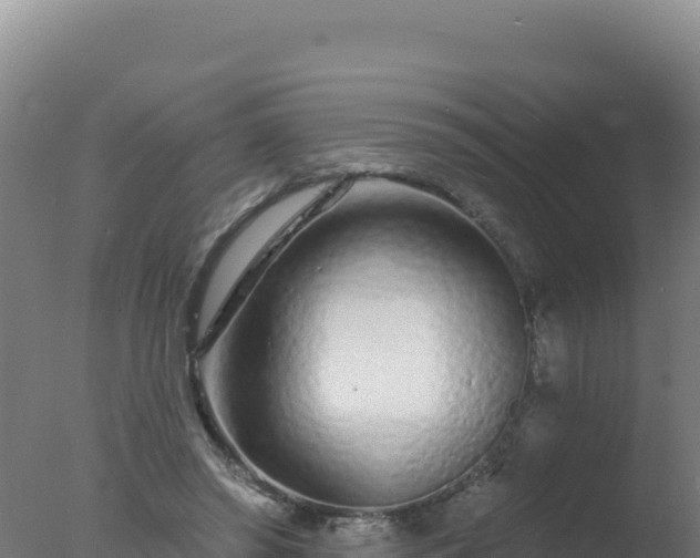 X0000077370398200610271925