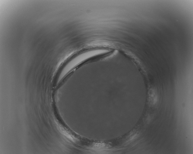 X0000077370399200610271925