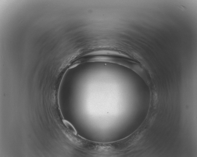 X0000077370401200610271925