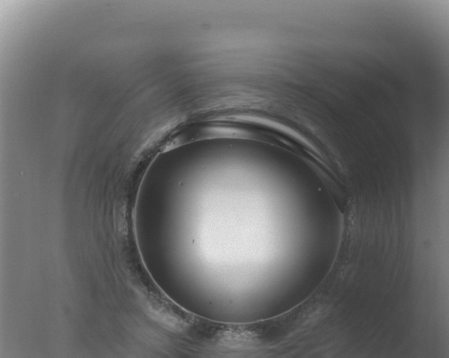 X0000077370403200610271925