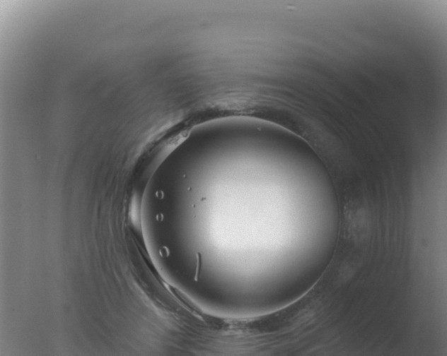 X0000077370404200610271925