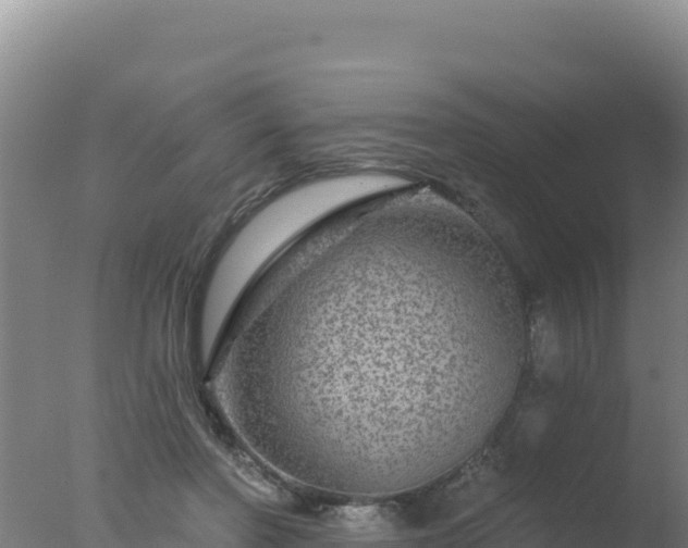 X0000077370406200610271925