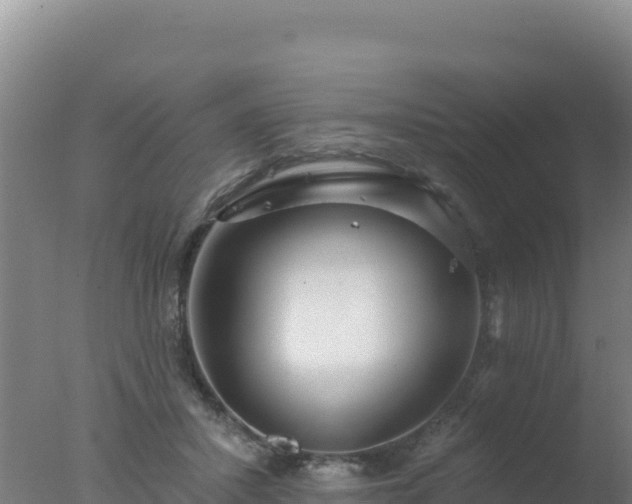 X0000077370407200610271925