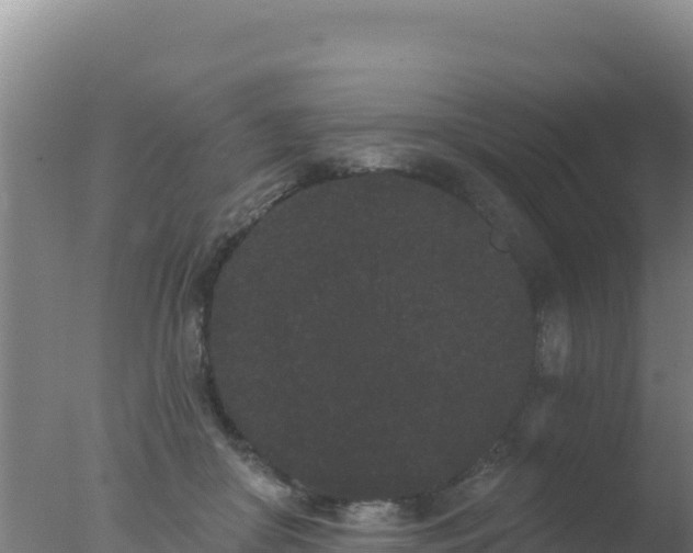 X0000077370410200610271925