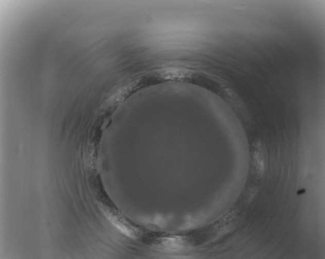 X0000077370411200610271925