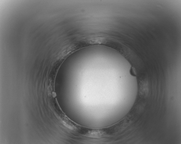 X0000077370414200610271925