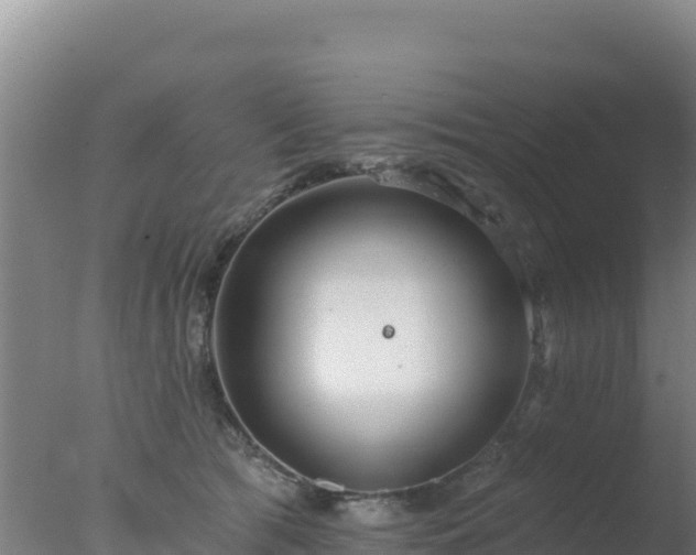 X0000077370417200610271925