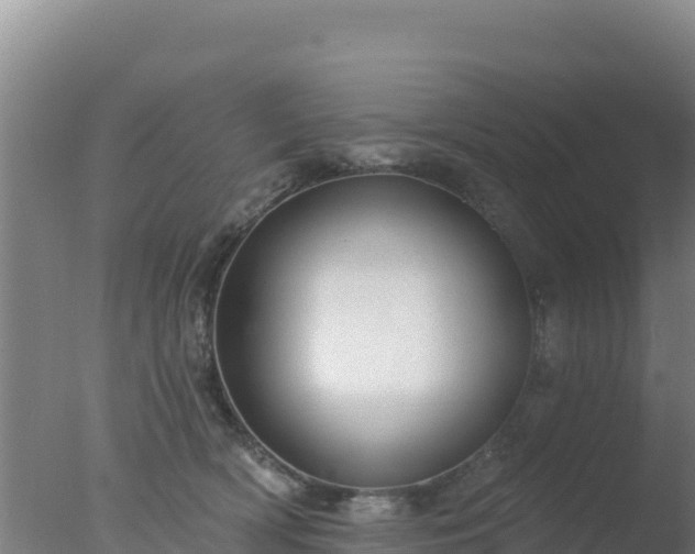 X0000077370418200610271925