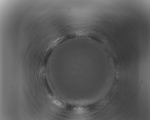 X0000077370419200610271925