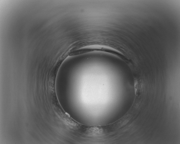 X0000077370421200610271925