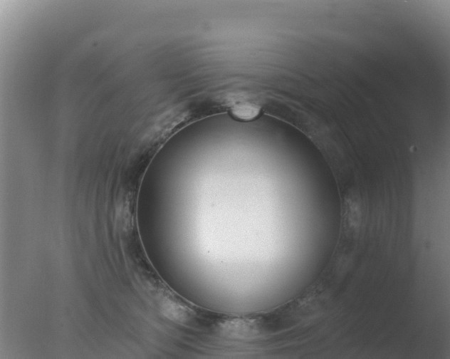 X0000077370422200610271925