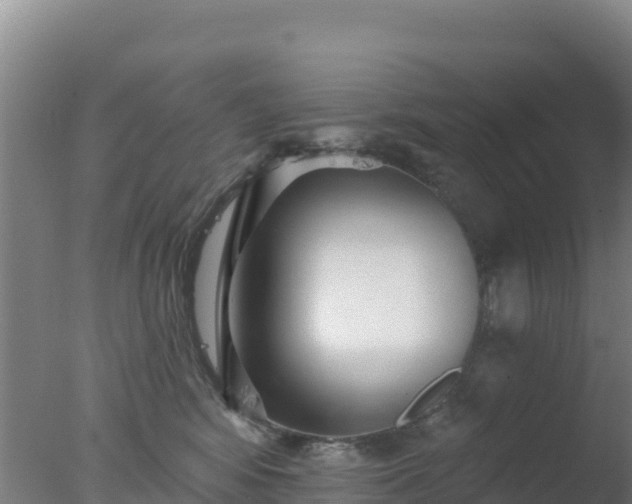 X0000077370424200610271925