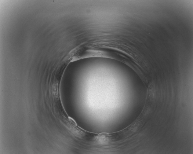 X0000077370425200610271925