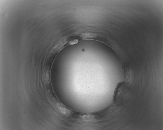 X0000077370426200610271925