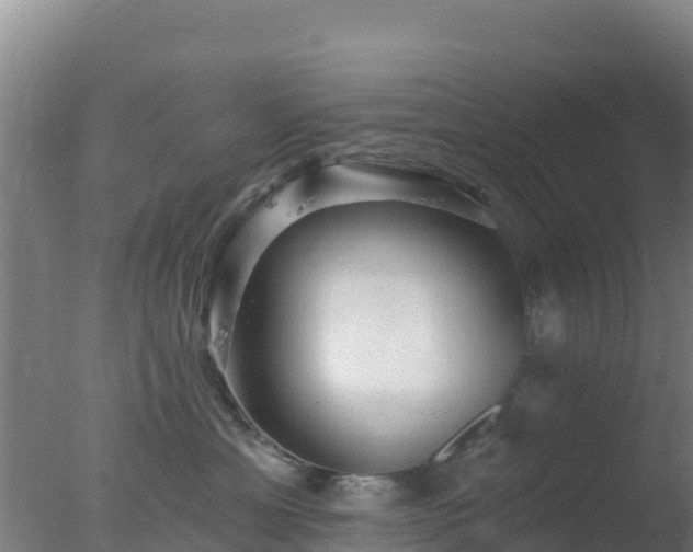 X0000077370429200610271925