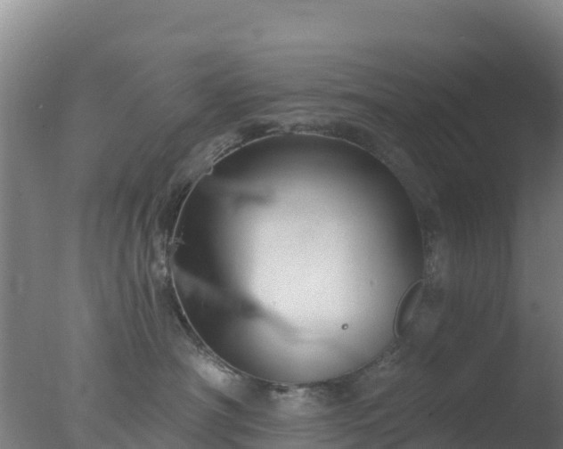 X0000077370430200610271925