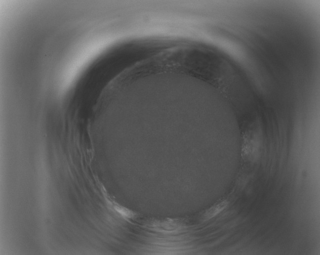 X0000077370431200610271925