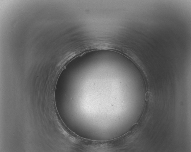 X0000077370433200610271924