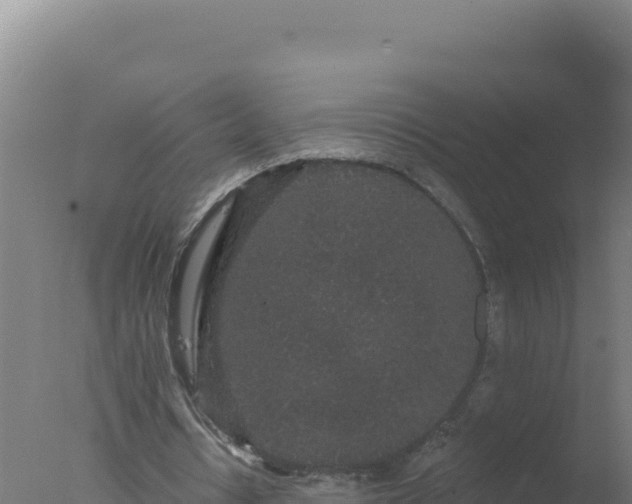 X0000077370434200610271924