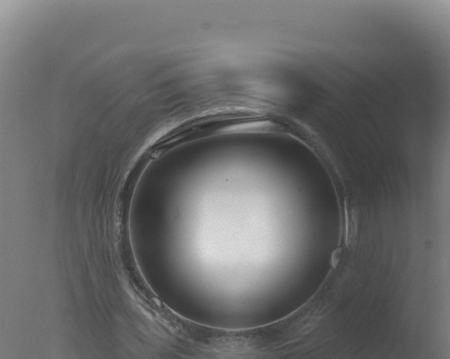 X0000077370435200610271924