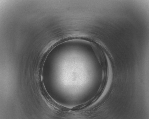 X0000077370436200610271924