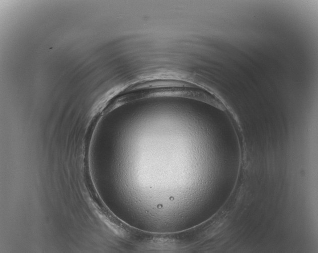 X0000077370437200610271924