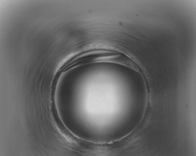 X0000077370438200610271924