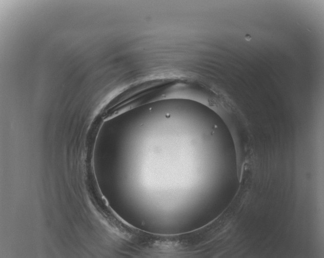 X0000077370440200610271924