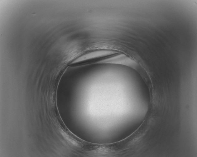 X0000077370441200610271924