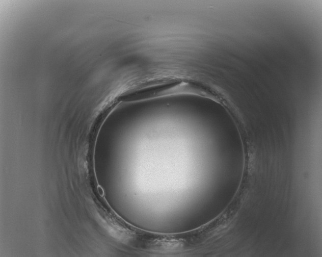 X0000077370443200610271924