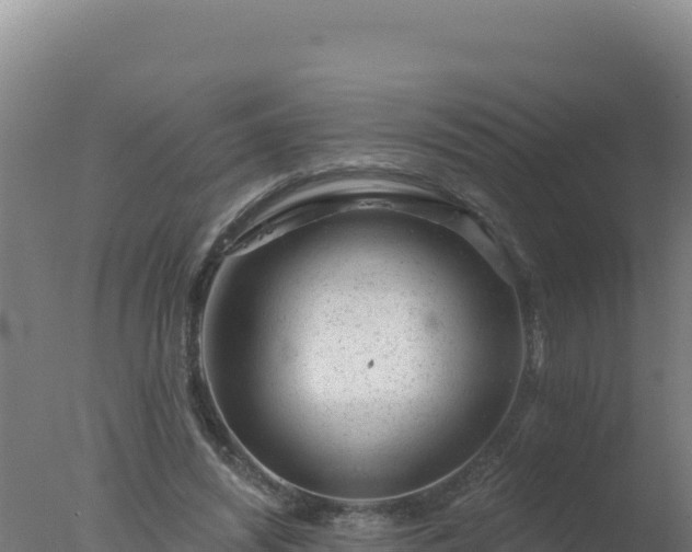 X0000077370444200610271924