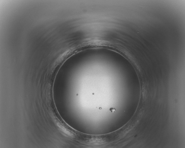 X0000077370445200610271924