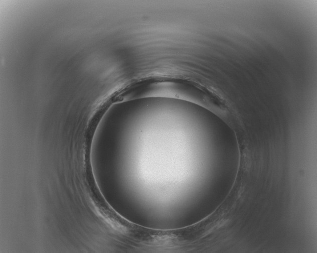 X0000077370446200610271924