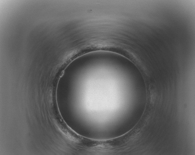 X0000077370447200610271924